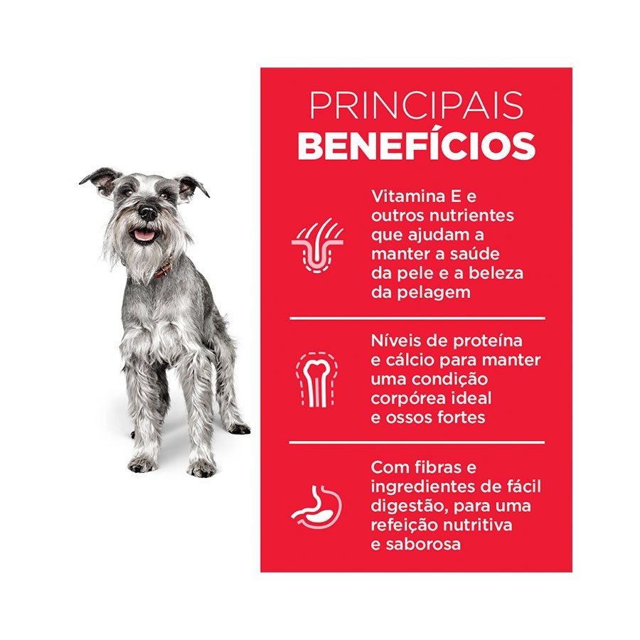 Ração Hill's Science Diet para Cães Adultos 7+ Raças Pequenas e Miniatura