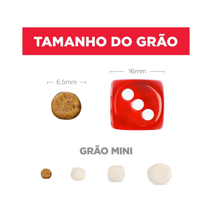 Ração Hill's Science Diet para Cães Filhotes Raças Pequenas e Miniatura