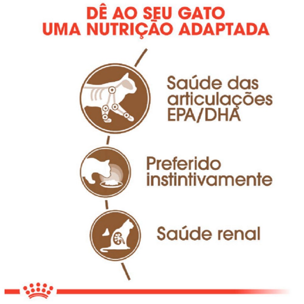 Ração Royal Canin Sachê Ageing +12 para Gatos Idosos