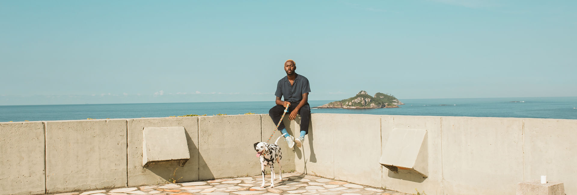 Coleira para Cachorros Florida | Lifestyle Images
