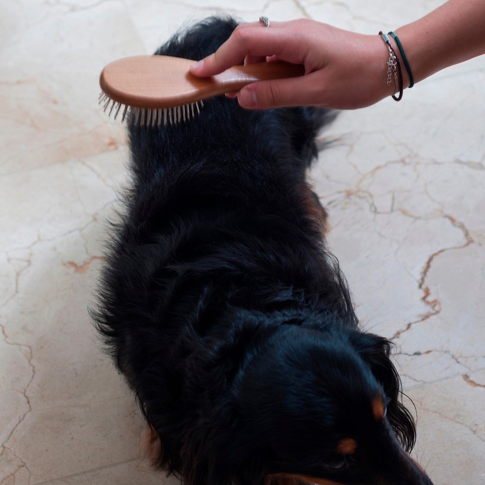 Escova Germanhart Sem Bolinhas para Cães e Gatos