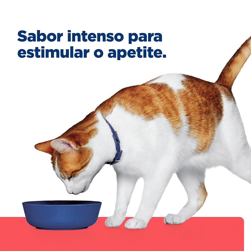 Ração Ùmida Hill's Prescription Diet ONC Care Cuidado Oncológico para Gatos