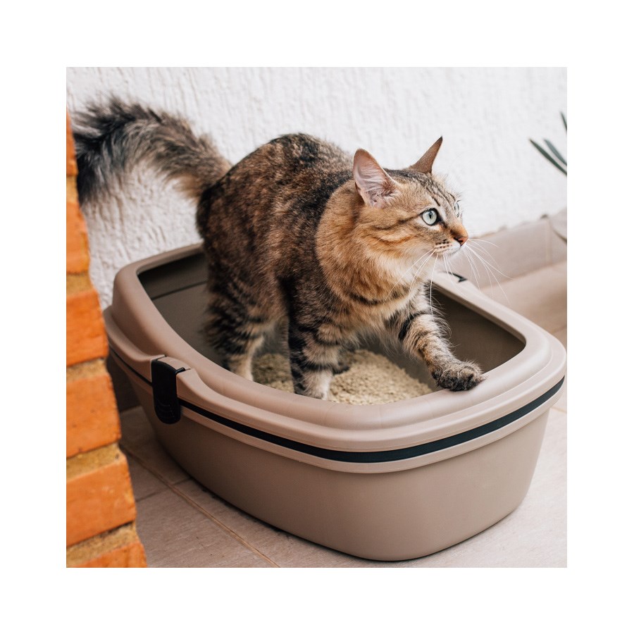 Bandeja Sanitária Plast Pet Furba Gold para Gatos