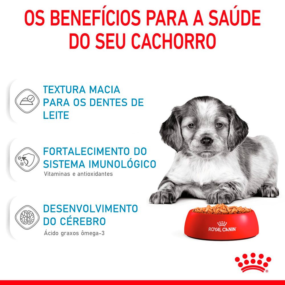 Ração Úmida Royal Canin Sachê Medium Puppy para Cães Filhotes de Porte Médio