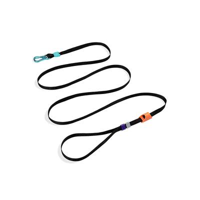 Guia Longa para Cachorros Segundo