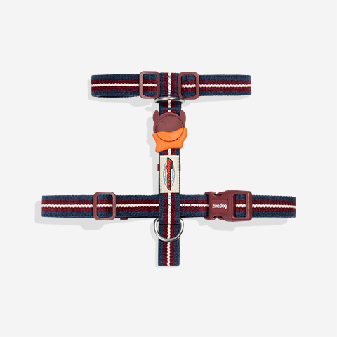 Peitoral para Cachorros H Velvet Vibes Dropout | Zee.Dog