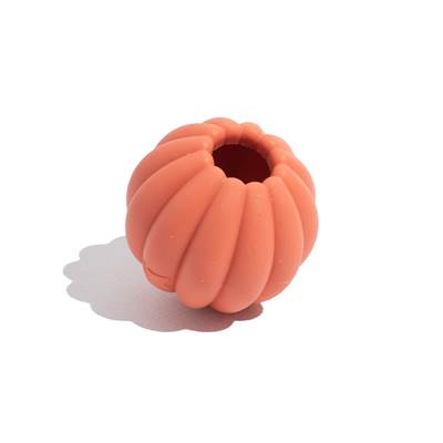 Brinquedo para Cachorros Tangerina Vermelho U