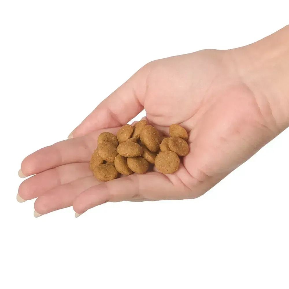 Ração Joy High Premium Cães Adultos Raças Médias e Grandes Frango e Carne 