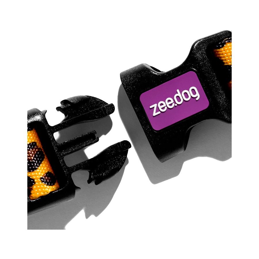 Coleira para Cachorros Honey