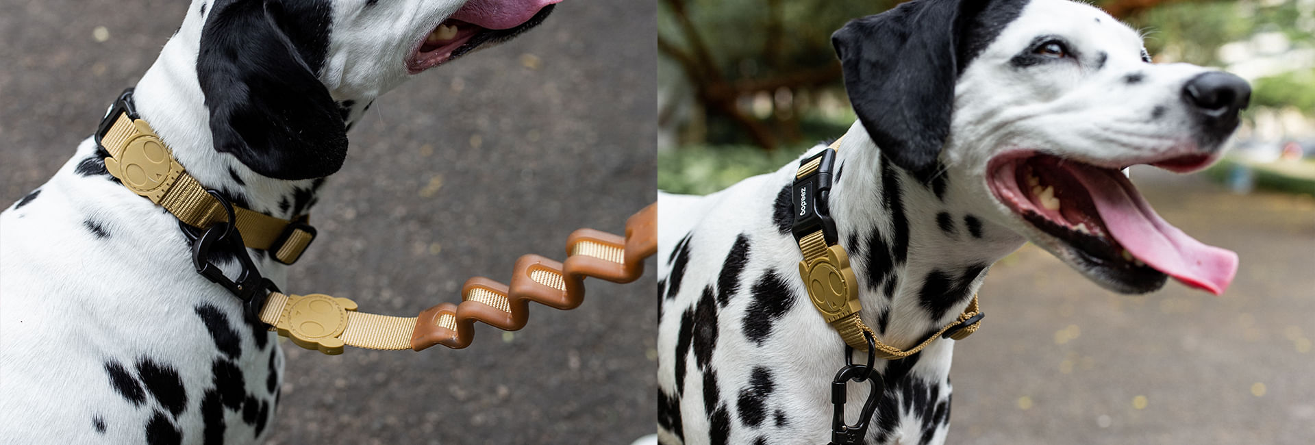 Guia com Amortecedor 2.0 para Cachorros Sand | Lifestyle Images