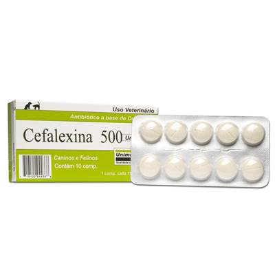 Antibiótico Cefalexina 500 mg para Cães 500mg