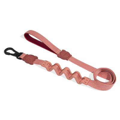 Guia com Amortecedor para Cachorros Canyon Naturals 