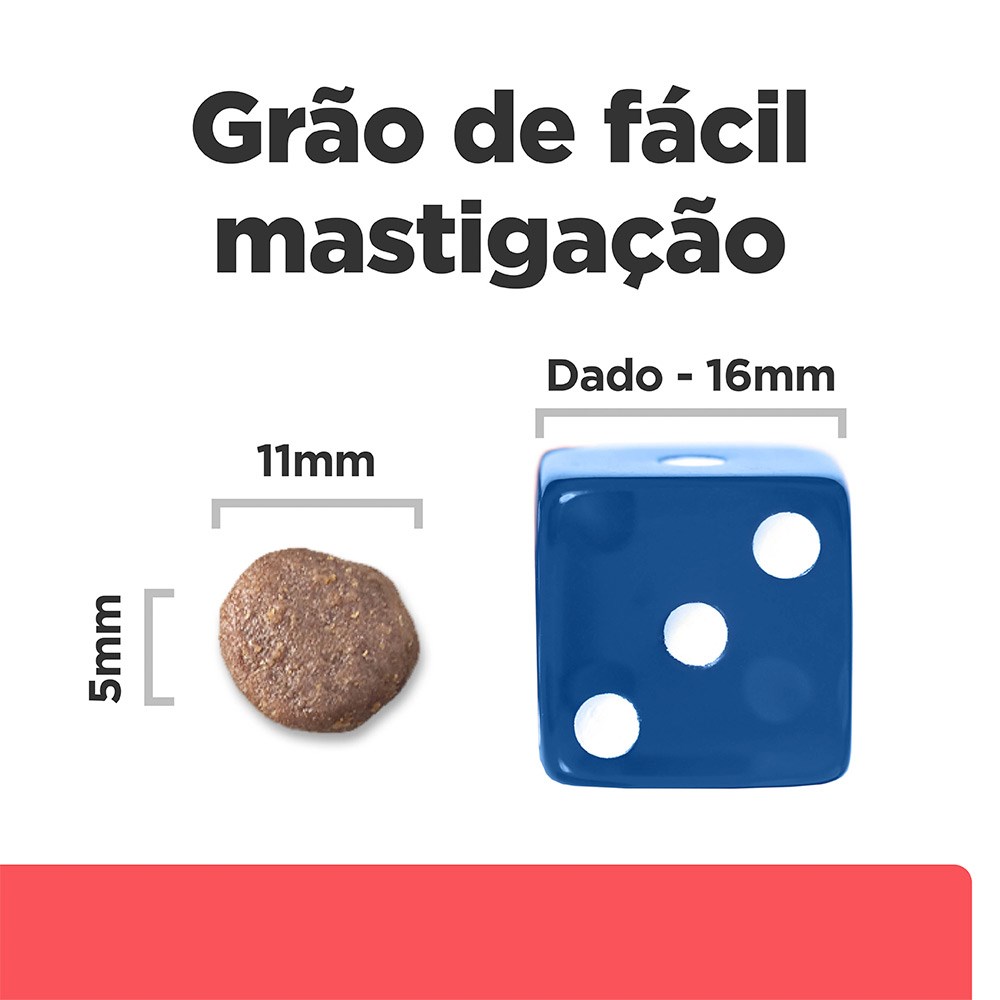 Ração Hill's Prescription Diet ONC Care Cuidado Oncológico para Cães