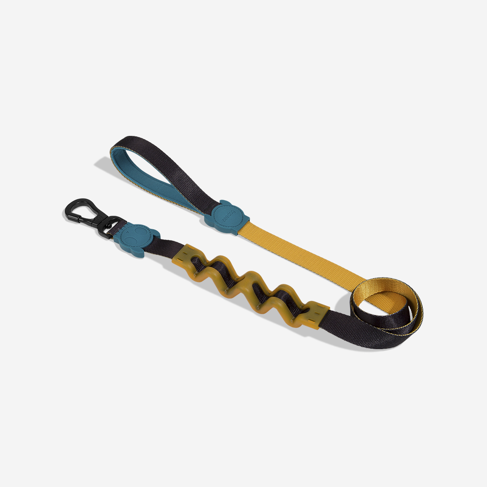 Guia com Amortecedor para Cachorros Valley | Imagem 0