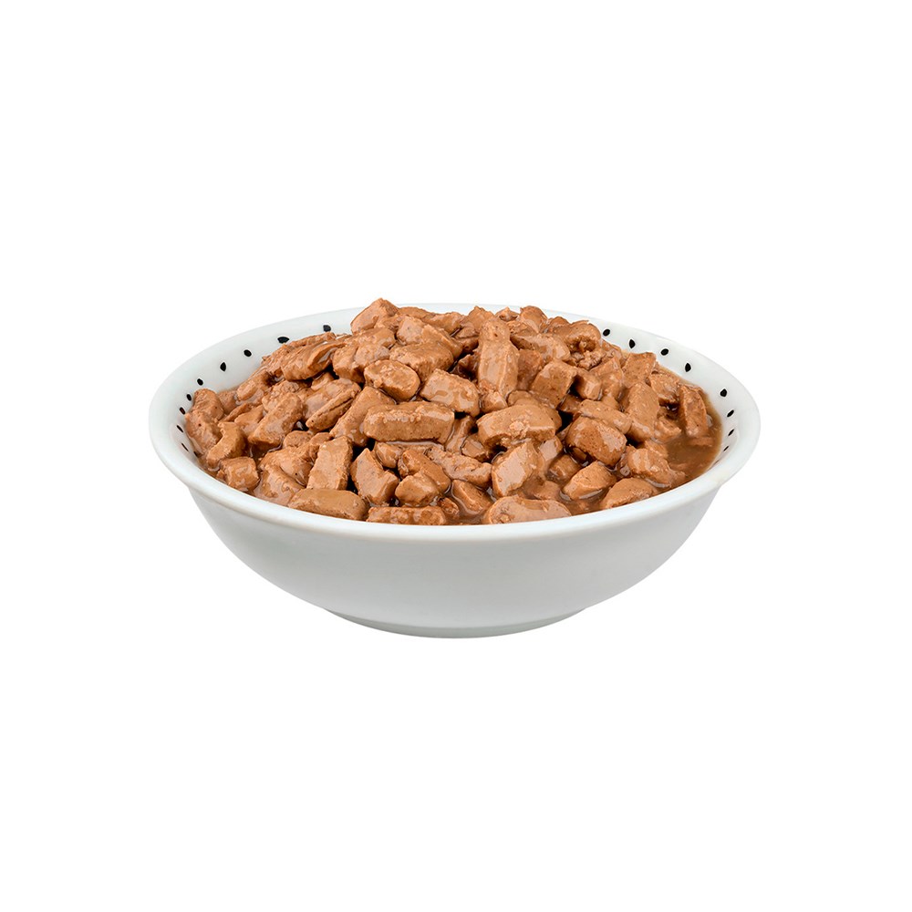 Ração Úmida Selections For Pets para Gatos Filhotes Sabor Peixe ao Molho