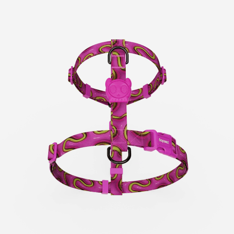 Peitoral para Cachorros H H3D Jelly | Zee.Dog