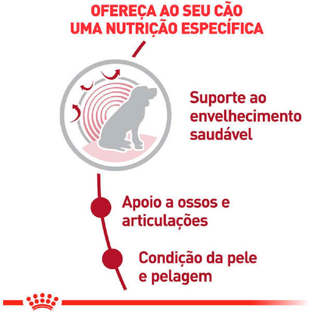 Ração Royal Canin Medium Ageing 10+ para Cães Adultos acima de 10 anos Porte Médio