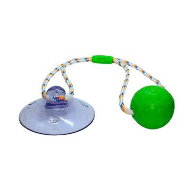 Brinquedo Truqys Push Ball Pet Verde U
