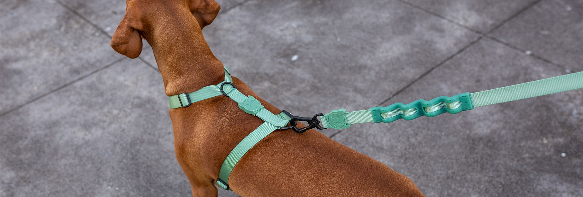 Peitoral para Cachorros Antipuxão Army Green | Lifestyle Images
