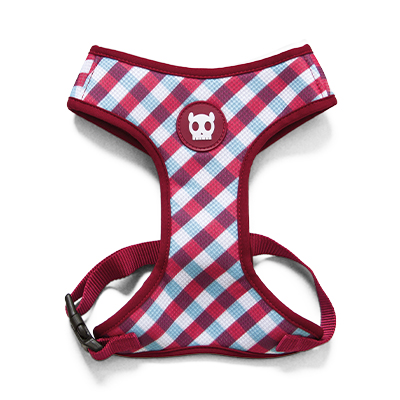 Peitoral para Cachorros Air Mesh Gummy G