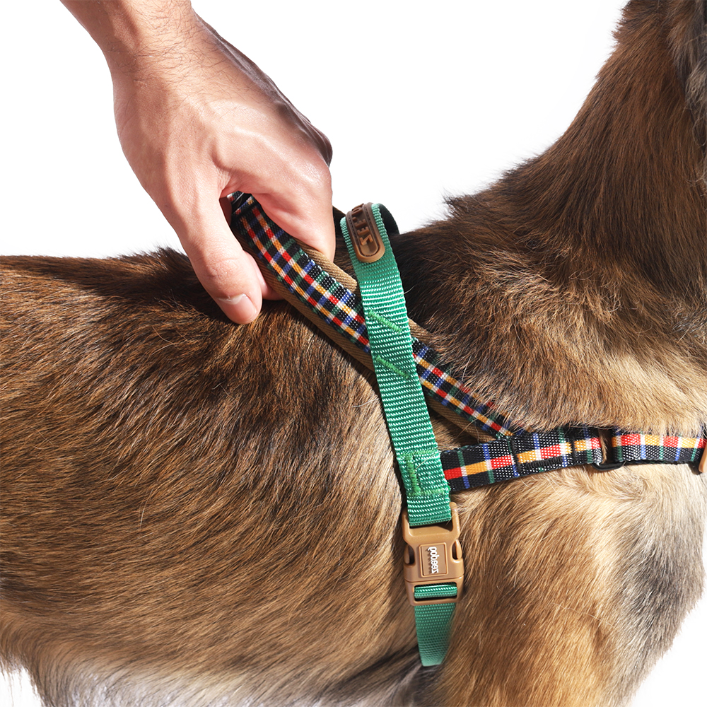 Peitoral Antipuxão SofterWalk para Cachorros Travis