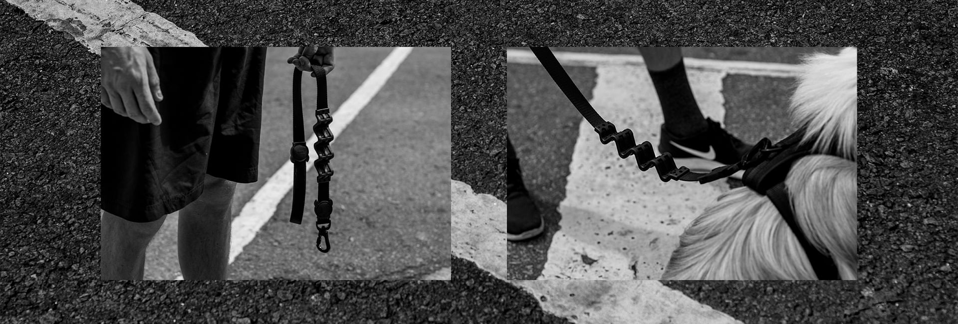 Coleira para Cachorros Gotham | Lifestyle Images