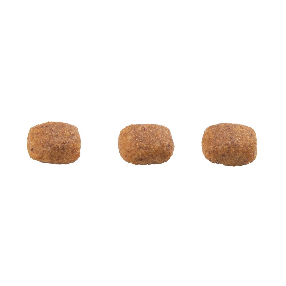 Ração Granplus para Gatos Adultos sabor Carne e Arroz