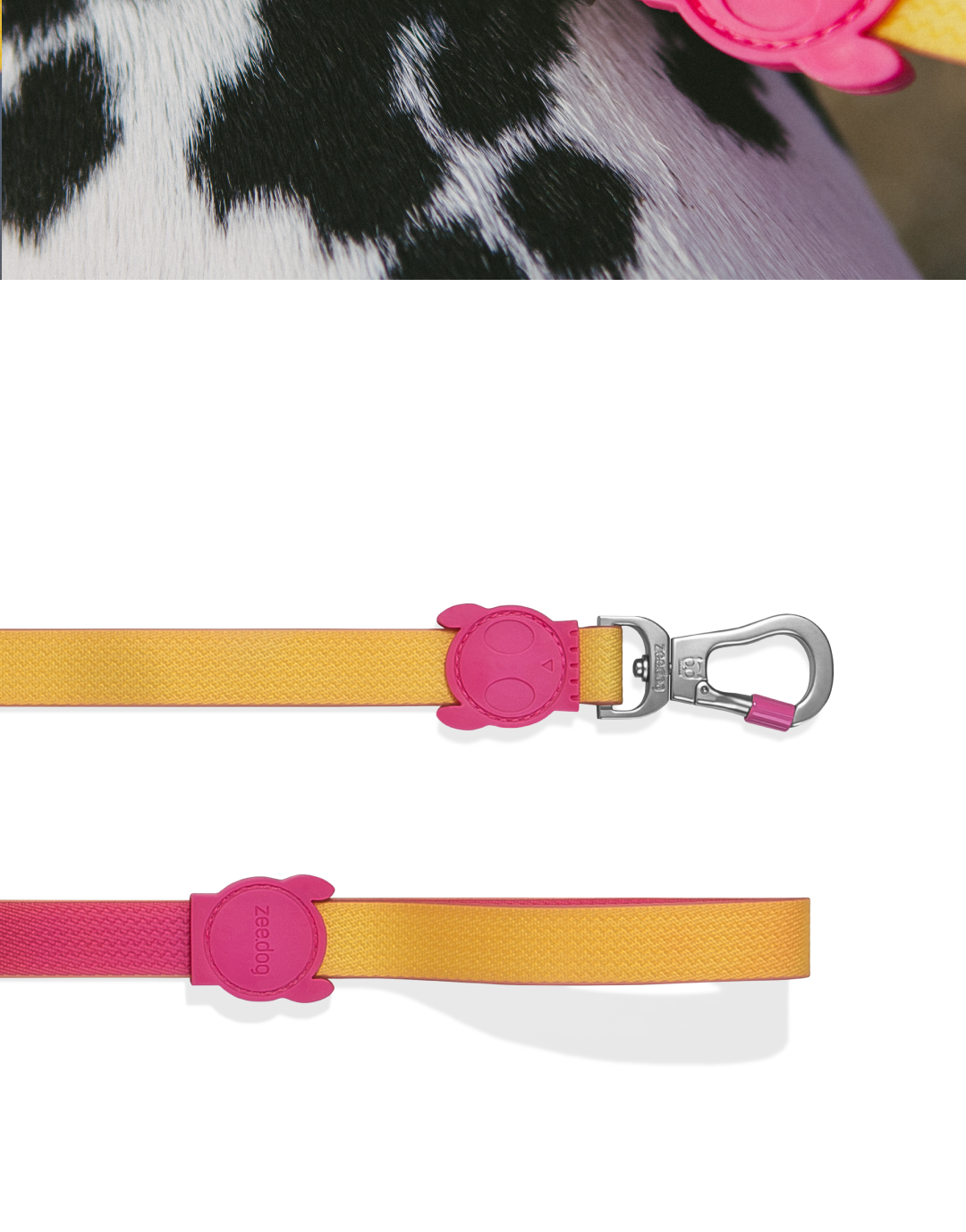Guia para Cachorros Neopro Lyra