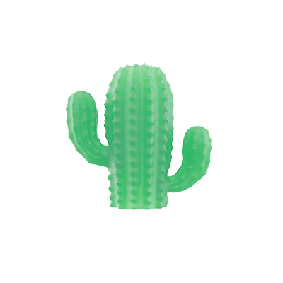 Zee.Pinz Cacto U