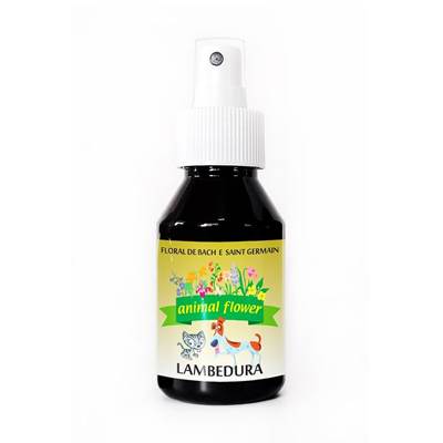 Floral de Bach Lambedura Animal Flowers Spray