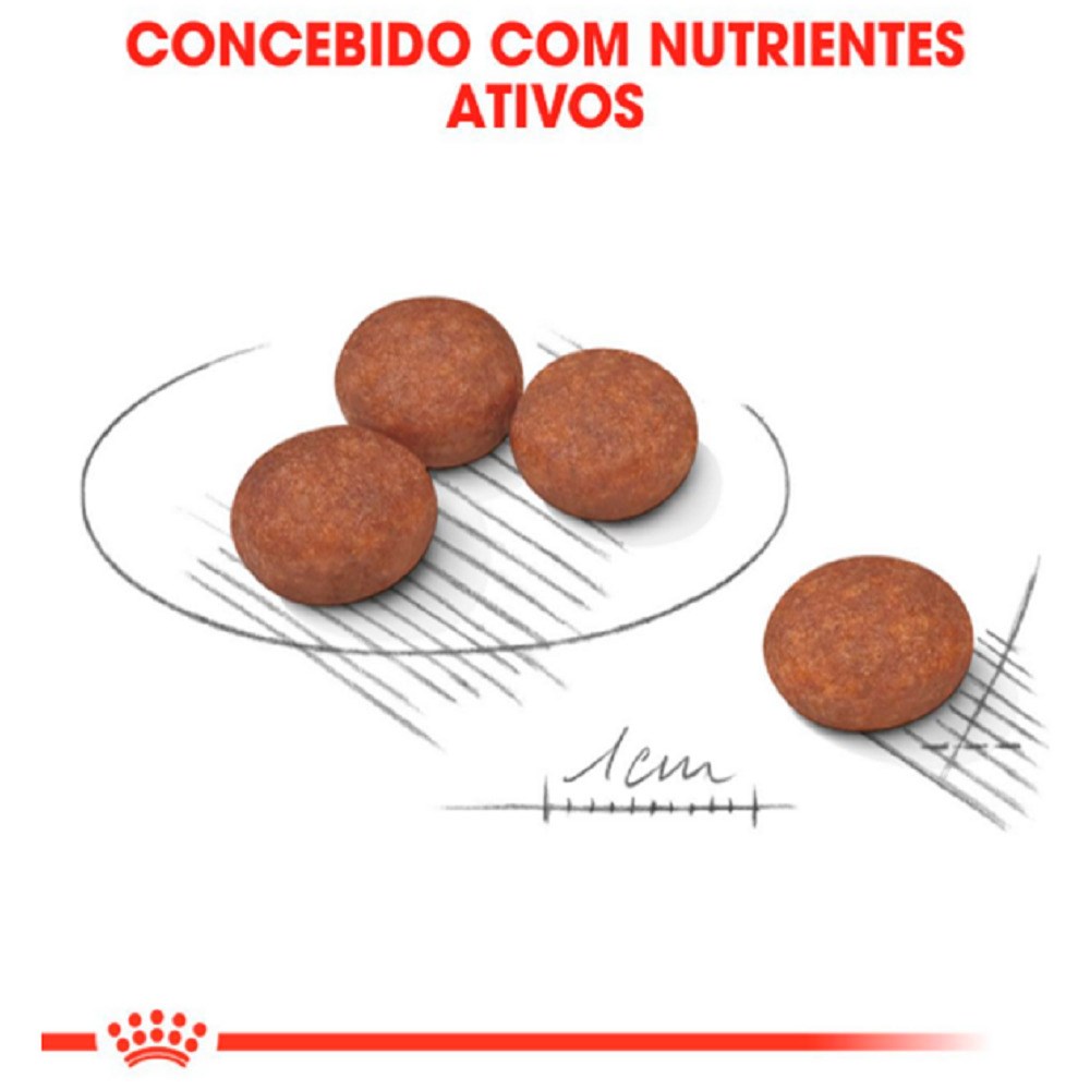 Ração Royal Canin Mini Digestive Care para Cães 