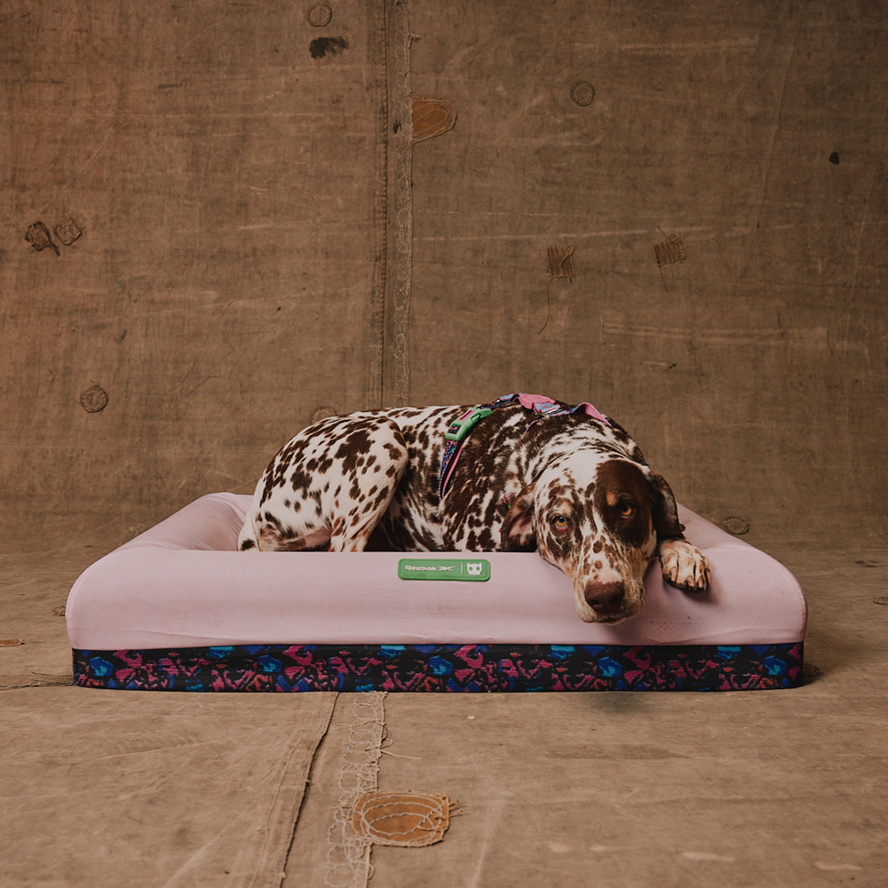Cama para Cachorros Zee.Bed Reebok Aerobic