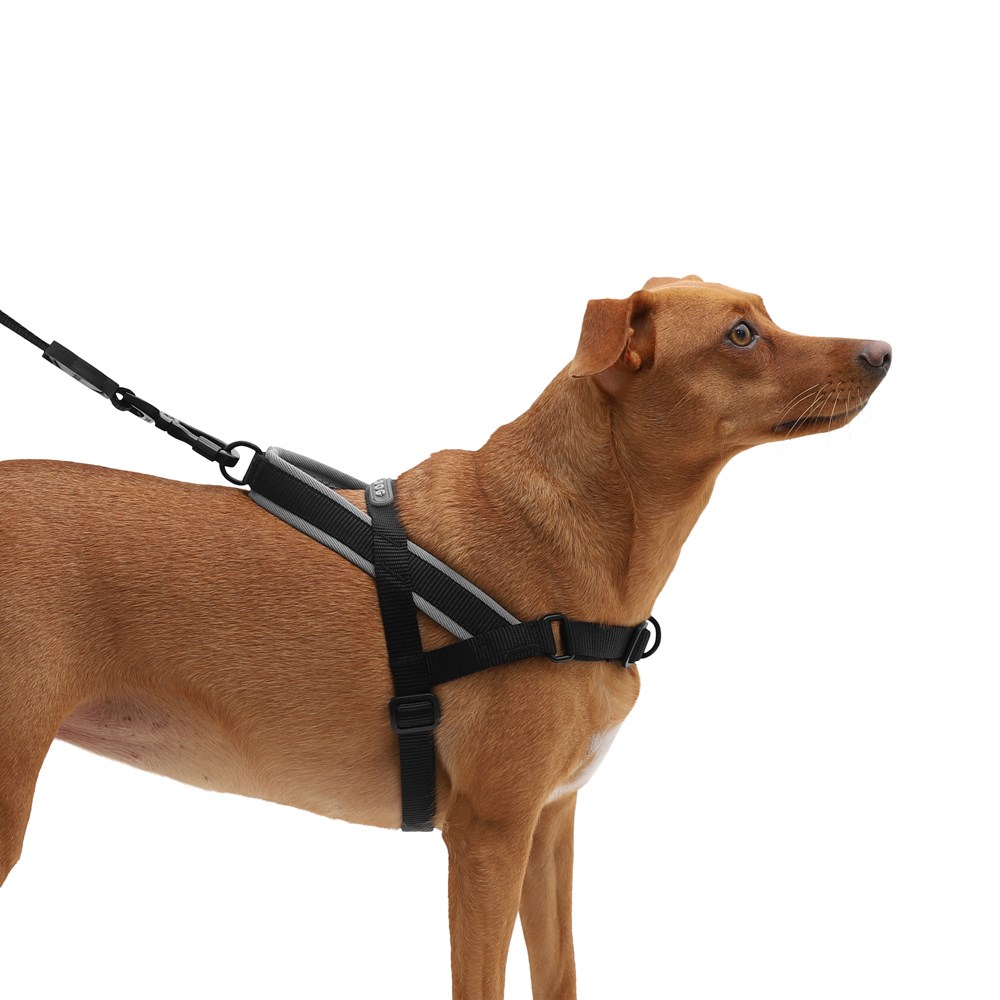 Peitoral Antipuxão SofterWalk para Cachorros Gotham