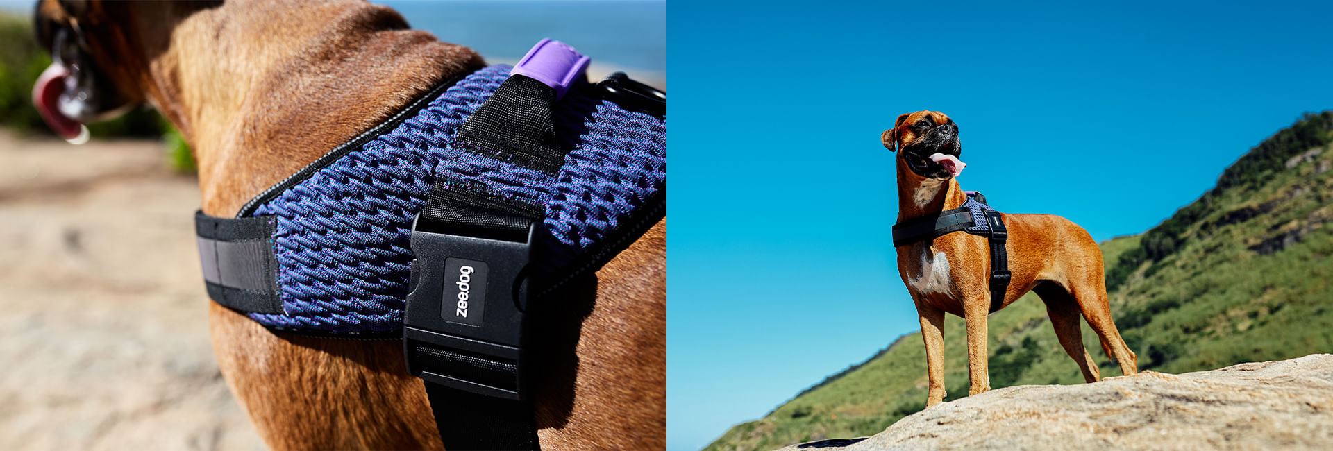 Peitoral para Cachorros FlyHarness Wicked | Lifestyle Images