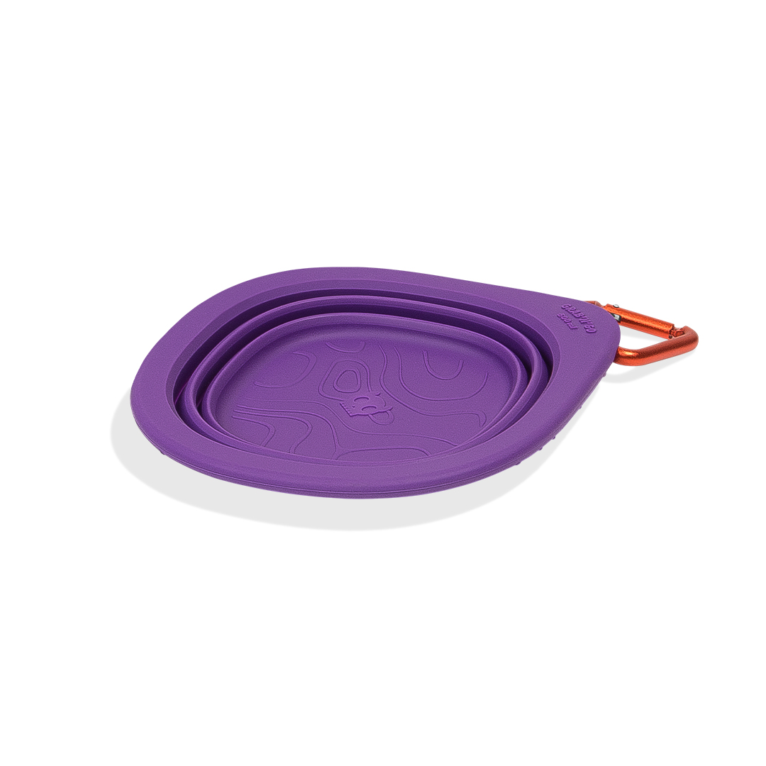 Comedouro para Cachorros Go Bowl Peak