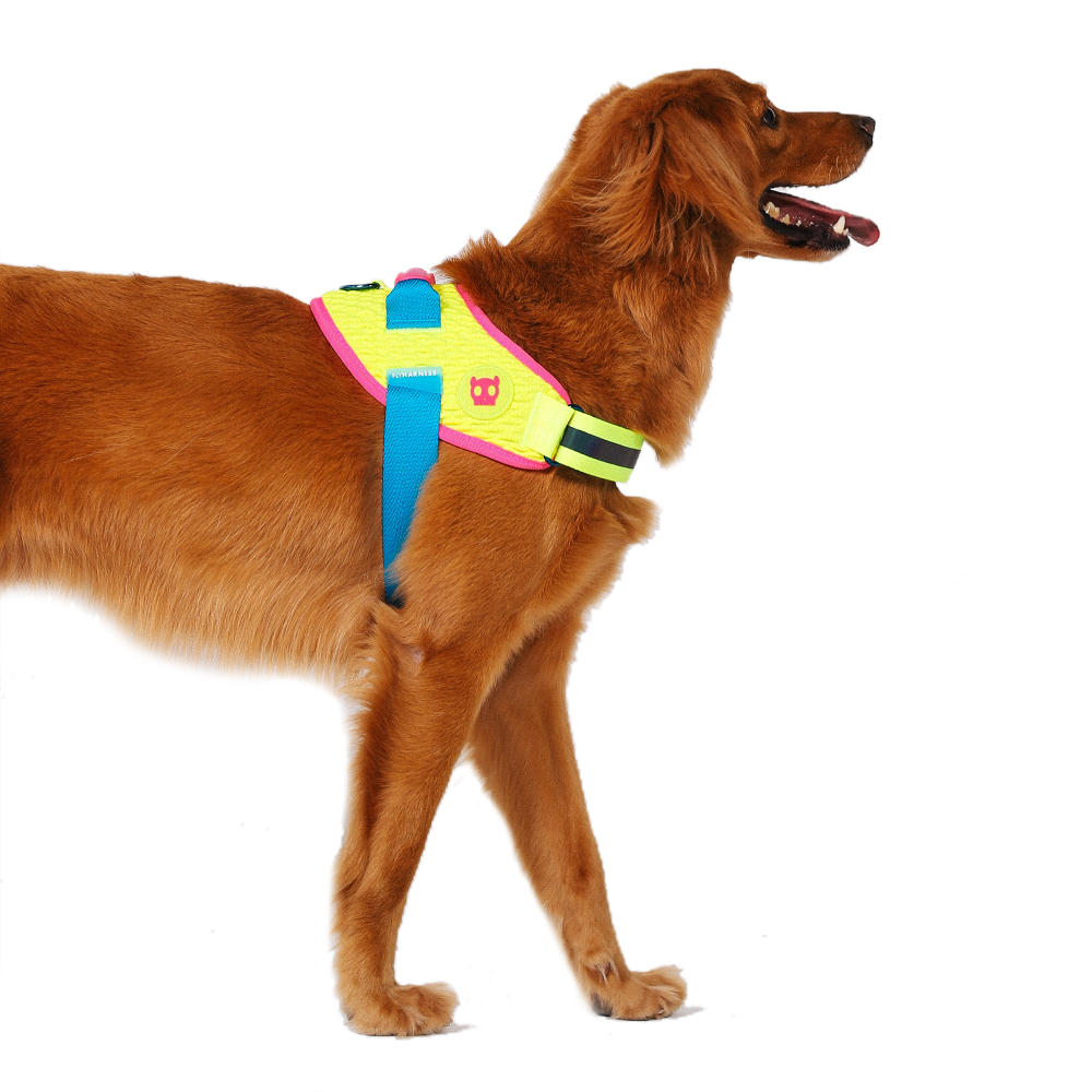 Peitoral para Cachorros FlyHarness Cmyk