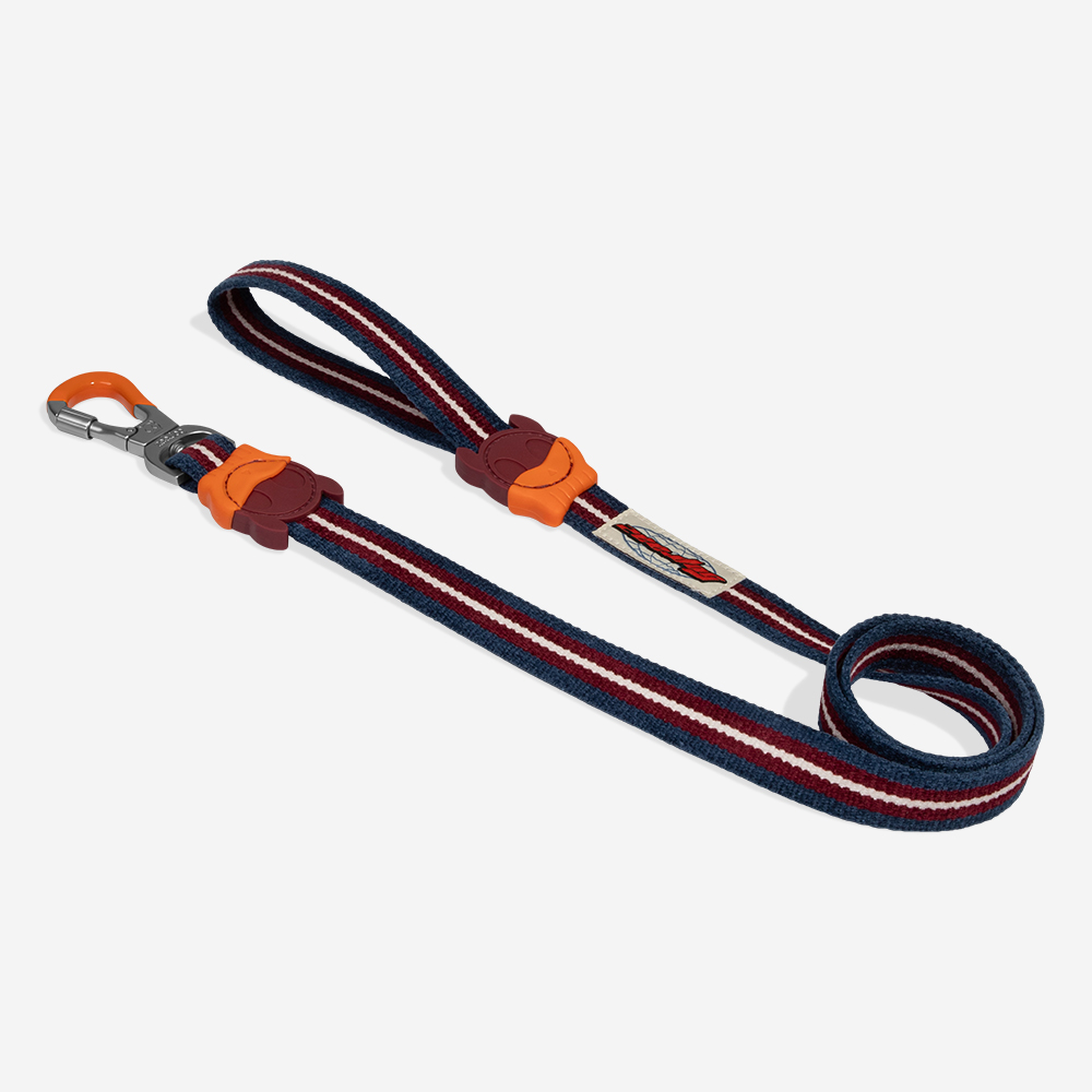 Guia para Cachorros Velvet Vibes Dropout | Imagem 2