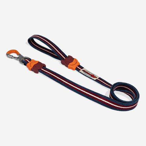 Guia para Cachorros Velvet Vibes Dropout | Zee.Dog