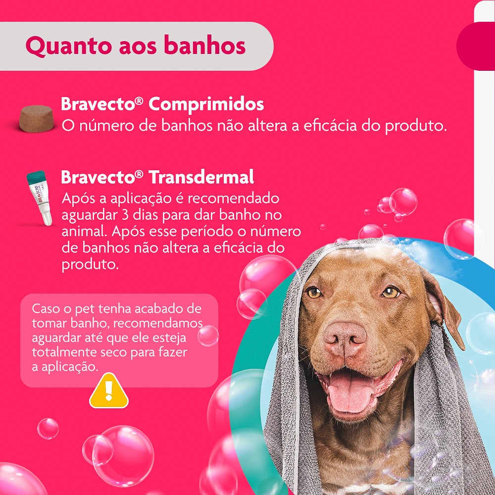 Antipulgas e Carrapatos Bravecto Transdermal para Cães de 20kg a 40kg -  1000mg