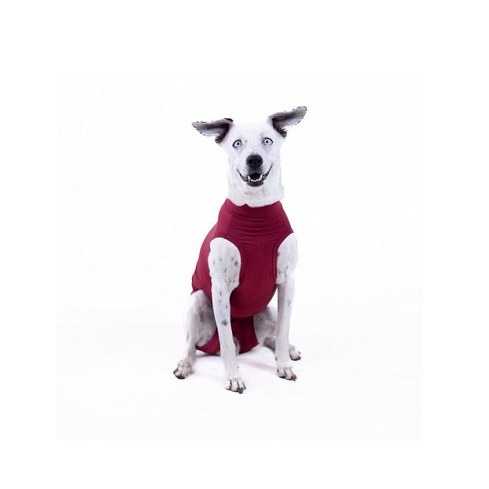 Roupa Cirúrgica Essential Care Pet Freedom Bordô para Cães Fêmeas