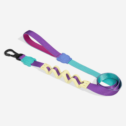 Guia com Amortecedor para Cachorros 2.0 Shockwave P