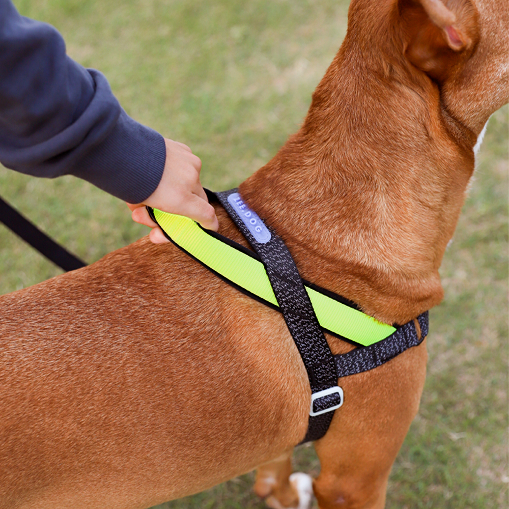 Peitoral Antipuxão SofterWalk para Cachorros Nox 