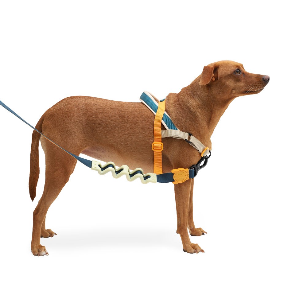 Peitoral Antipuxão SofterWalk para Cachorros Voyage