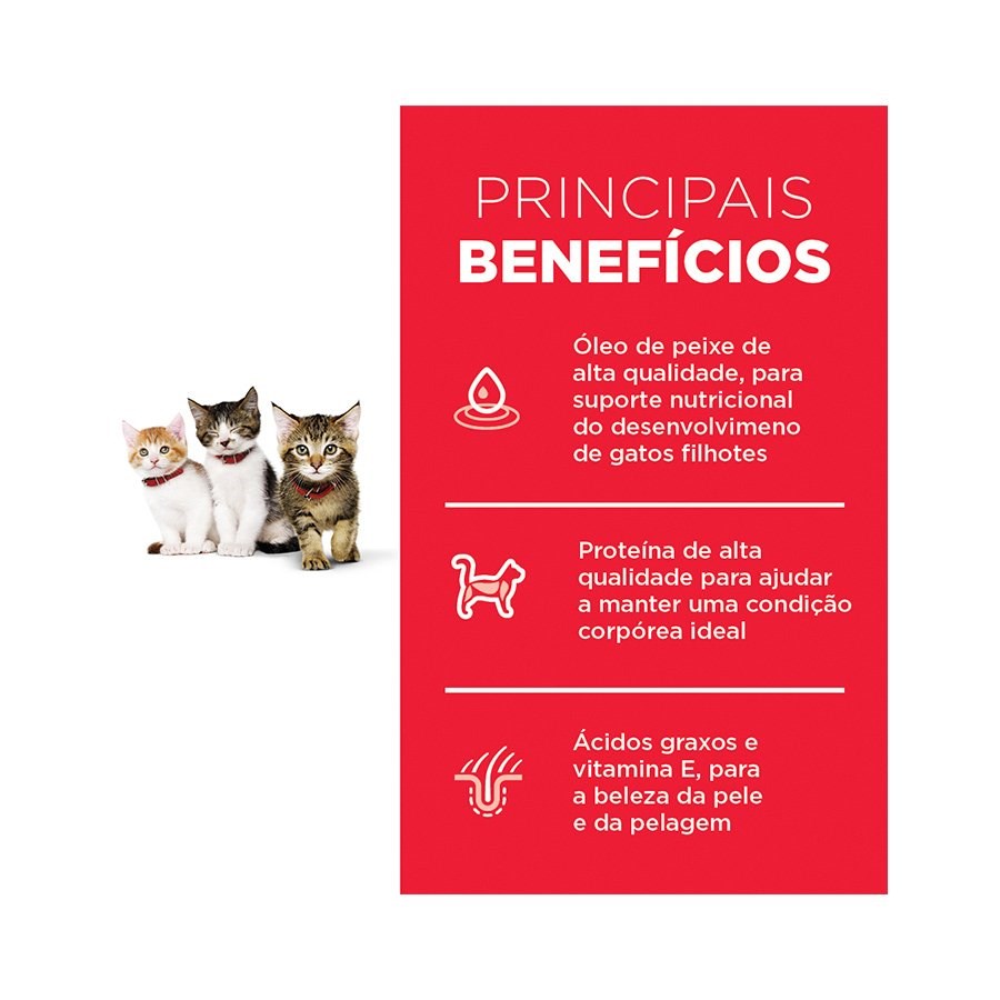 Ração Hill's Science Diet para Gatos Filhotes