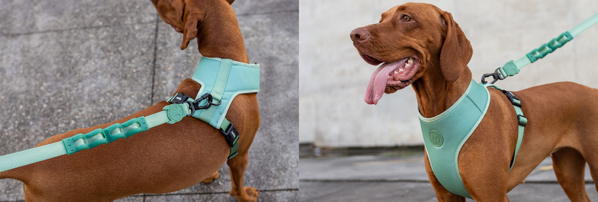 Peitoral para Cachorros Antipuxão Army Green | Lifestyle Images
