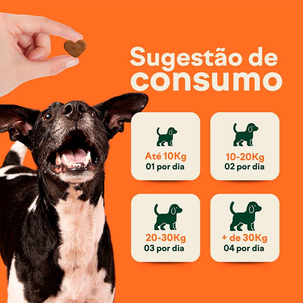 Suplemento Wigow Multivitamínico 10 em 1 para Cães