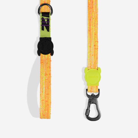 Guia para Cachorros Fuse Bikr | Zee.Dog