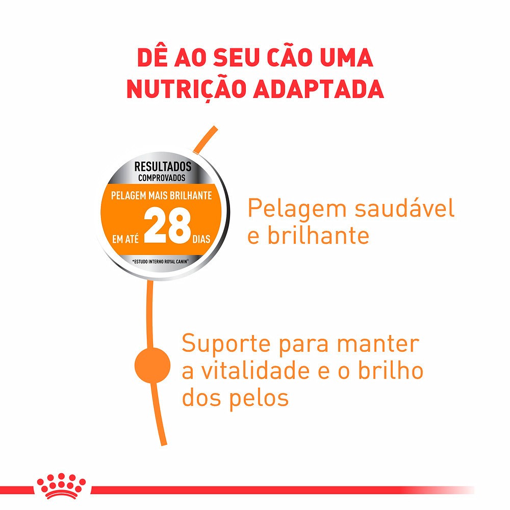 Ração Royal Canin Cuidado da Pelagem Coat Care Mini para Cães Adultos