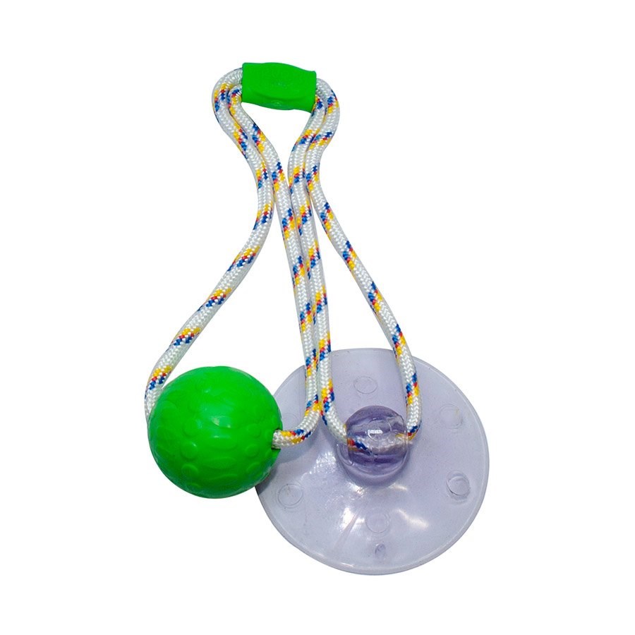 Brinquedo Truqys Push Ball Pet Verde