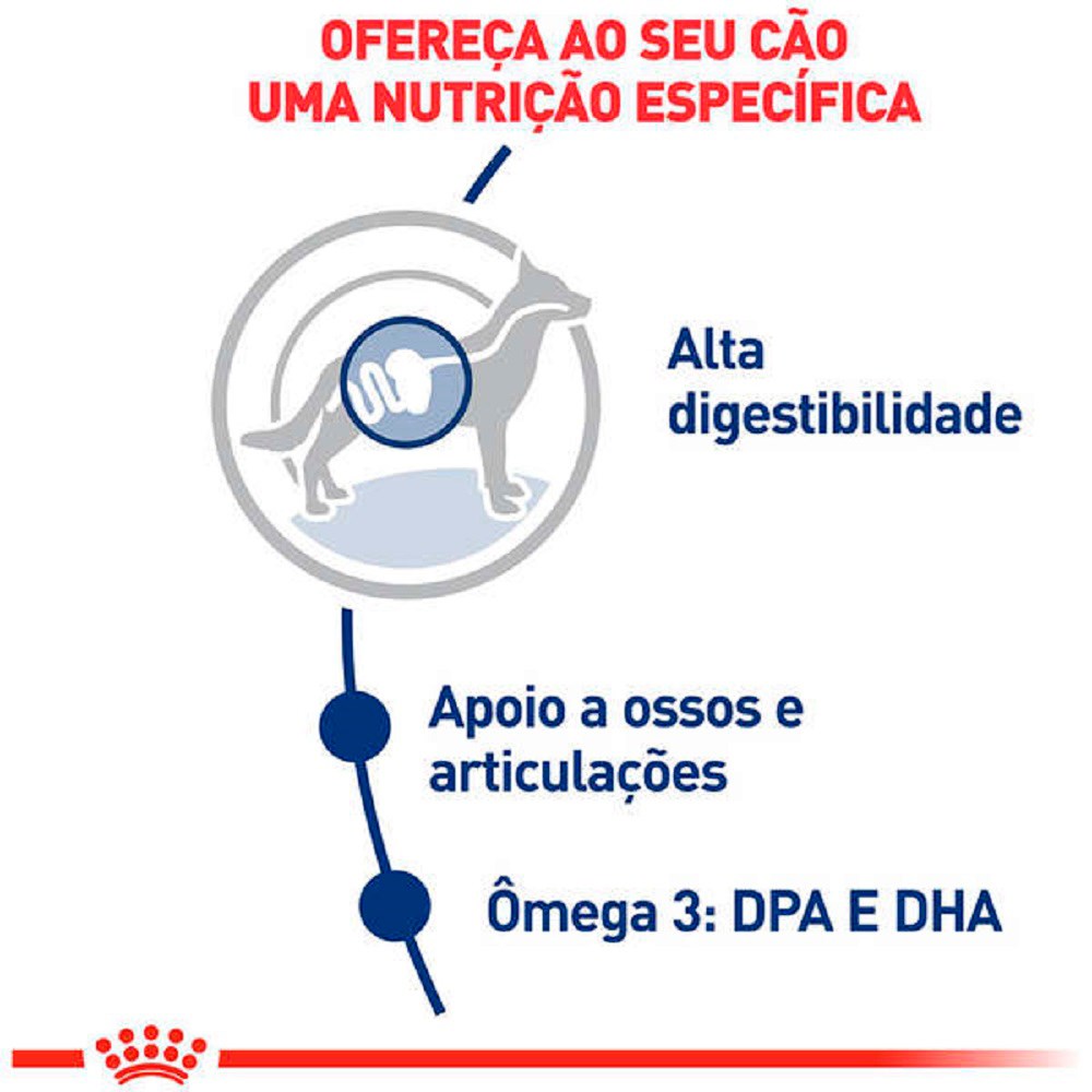 Ração Royal Canin Maxi Adult para Cães Adultos de Porte Grande a partir de 15 Meses de Idade